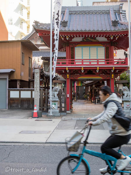 f:id:mobemobe617:20191121001633j:plain