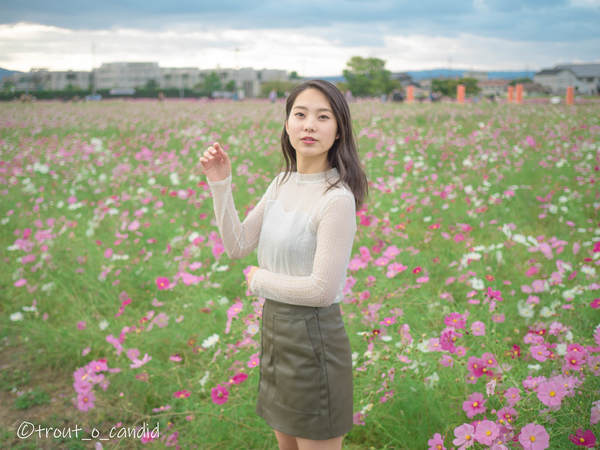 f:id:mobemobe617:20191124220815j:plain