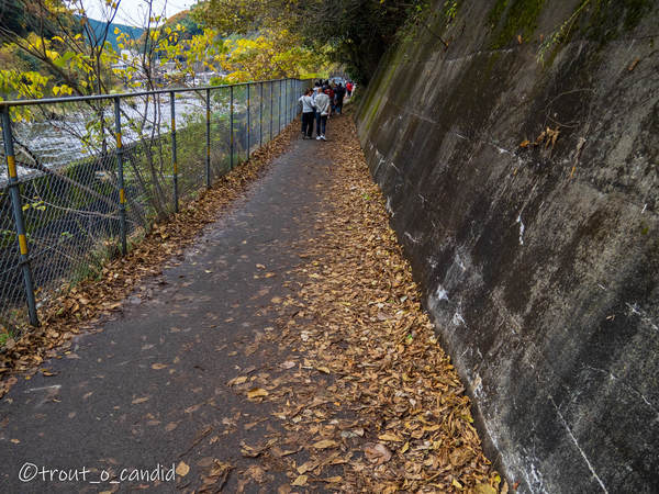 f:id:mobemobe617:20191124221120j:plain