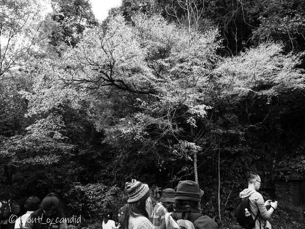 f:id:mobemobe617:20191124221133j:plain