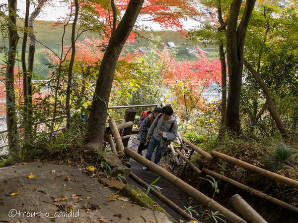 f:id:mobemobe617:20191124221213j:plain