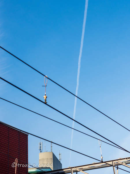 f:id:mobemobe617:20200207230328j:plain