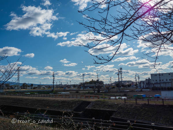 f:id:mobemobe617:20200209223652j:plain