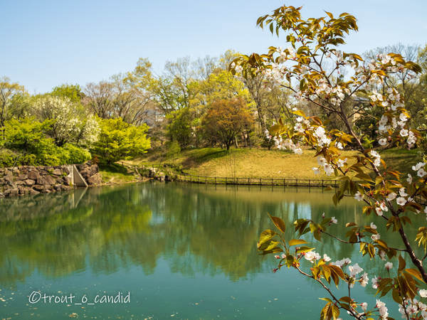 f:id:mobemobe617:20200412111109j:plain