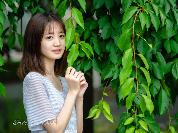 f:id:mobemobe617:20200712115717j:plain f:id:mobemobe617:20200712115717j:plain