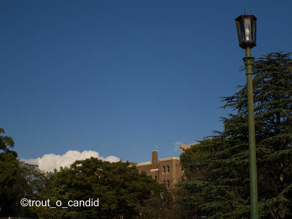 f:id:mobemobe617:20201024193851j:plain