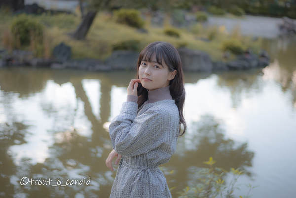 f:id:mobemobe617:20201127214721j:plain