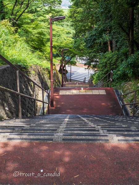 久しぶりの連休の初日に - 淡白マスヲのたんぱく宣言