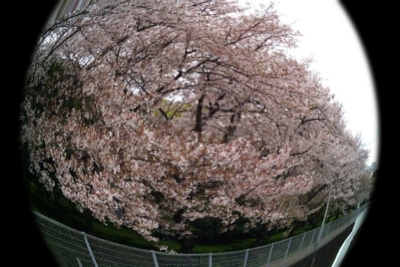 FxCam_1270770617968.jpg