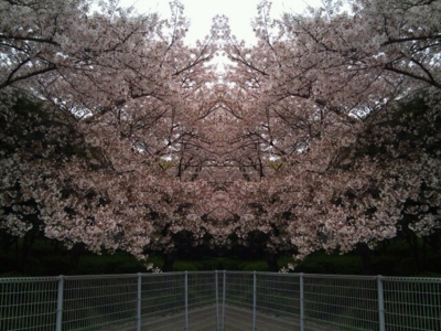 FxCam_1270770641095.jpg