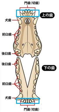f:id:moca-daily:20201011185041j:plain f:id:moca-daily:20201011185041j:plain