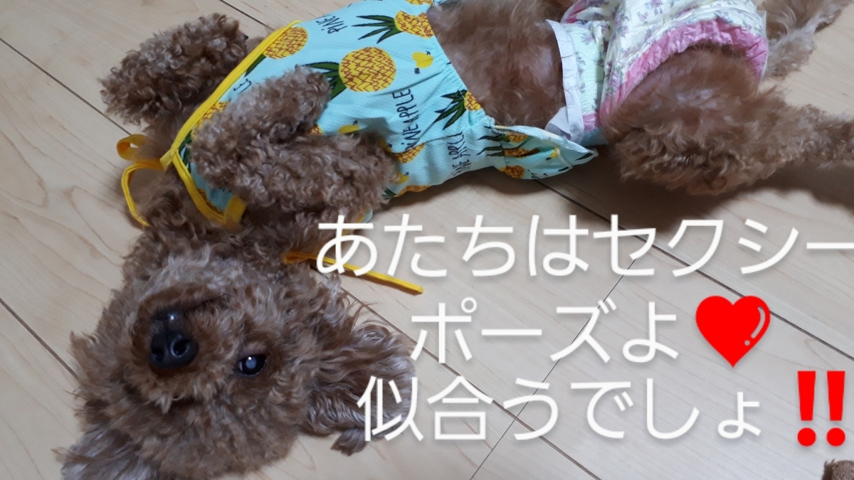 f:id:moca117114:20200621153038j:plain