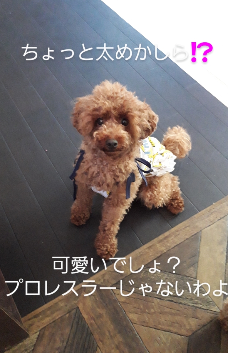 f:id:moca117114:20200621153057j:plain
