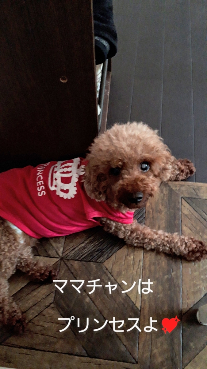 f:id:moca117114:20200621161654j:plain