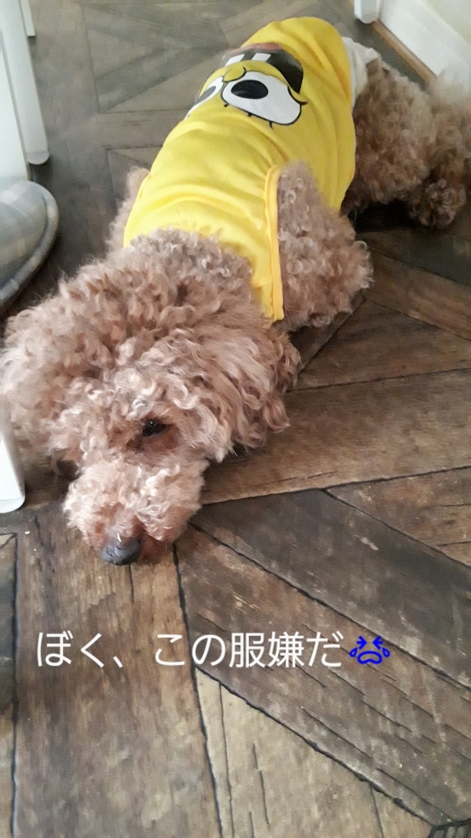 f:id:moca117114:20200621170419j:plain