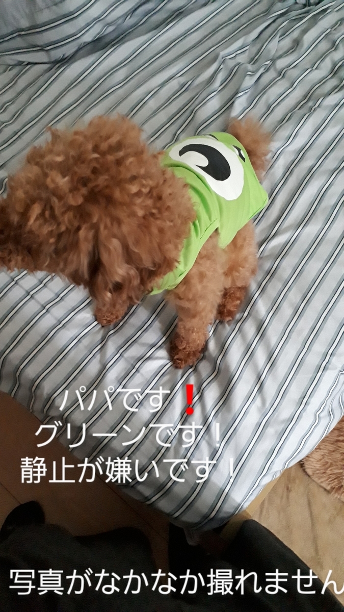 f:id:moca117114:20200621170437j:plain