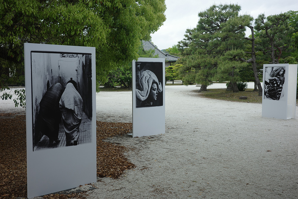 二条城の高木百合子の写真