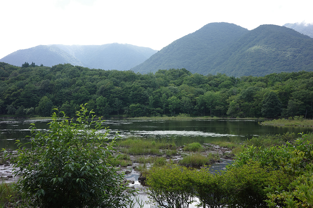 観音沼森林公園