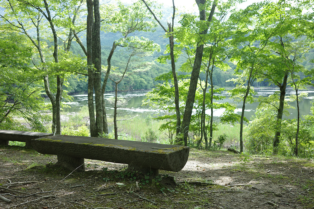 観音沼森林公園