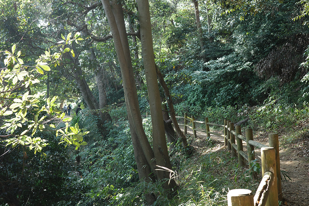 葛原ガ岡コース