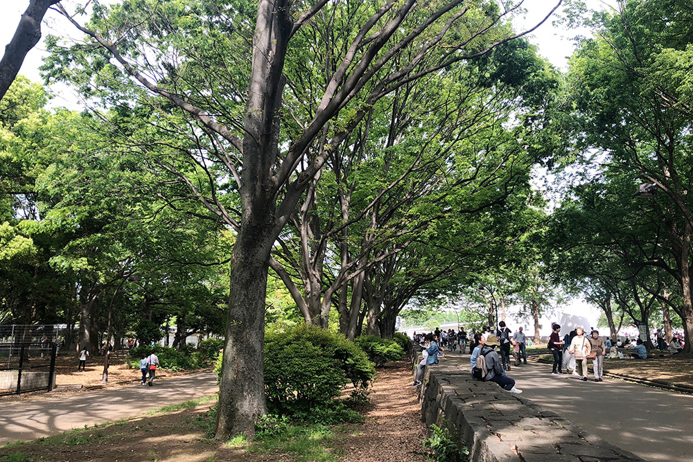 駒沢公園