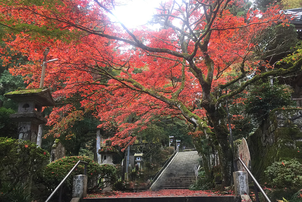 大雄山最乗寺