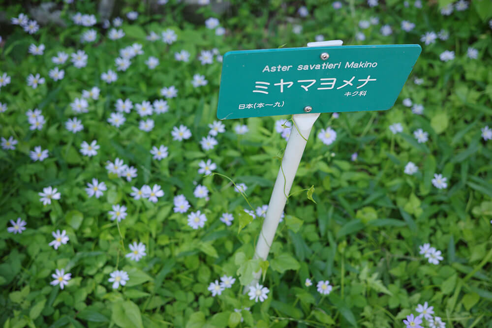 日光植物園