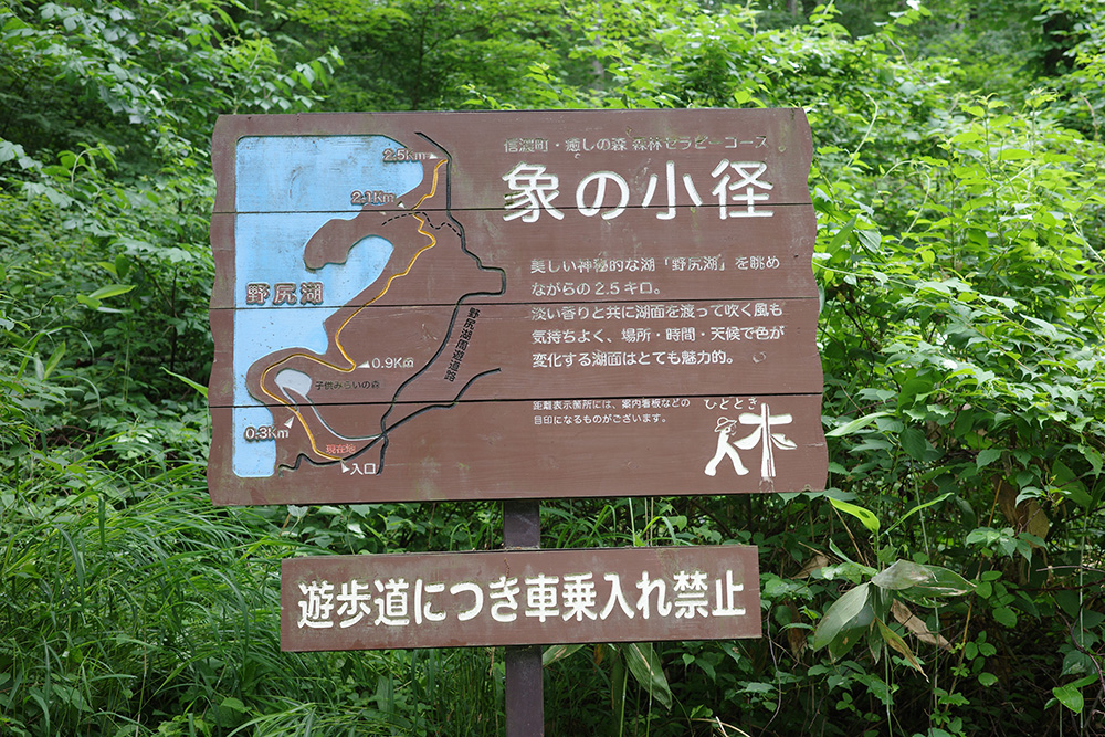 象の小径コース