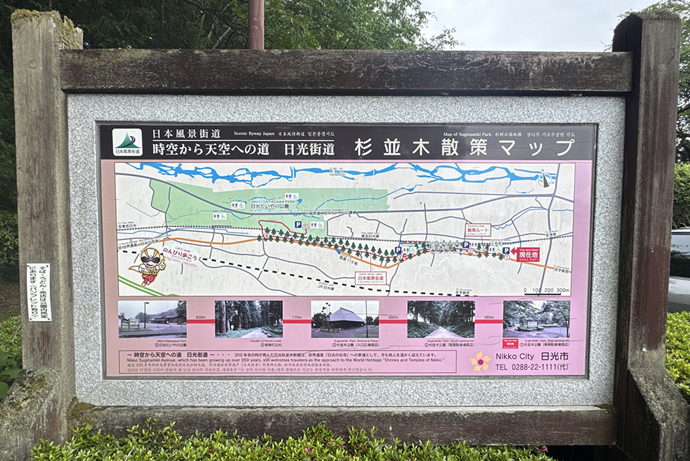 杉並木公園