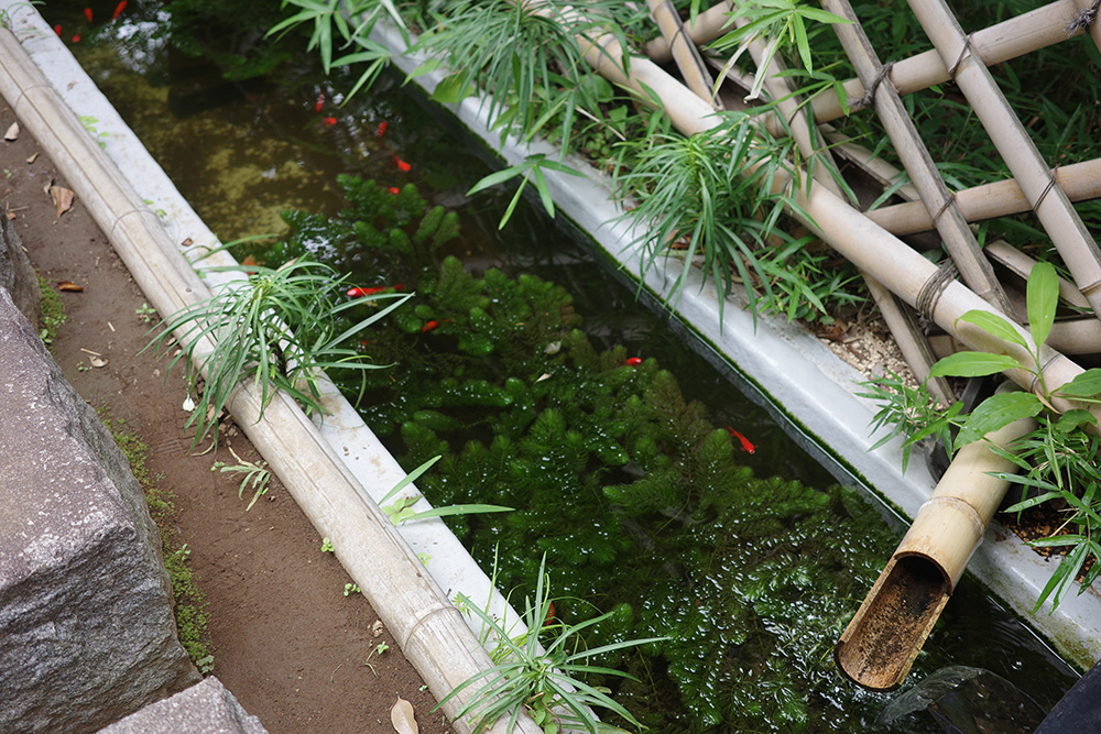 林芙美子記念館