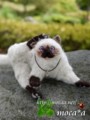 [ペット][子猫][猫][ネコ][ねこ][雑貨][羊毛フェルト][ハンドメイド][20110531]