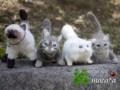 [ペット][子猫][猫][ネコ][ねこ][雑貨][羊毛フェルト][ハンドメイド][20110531]