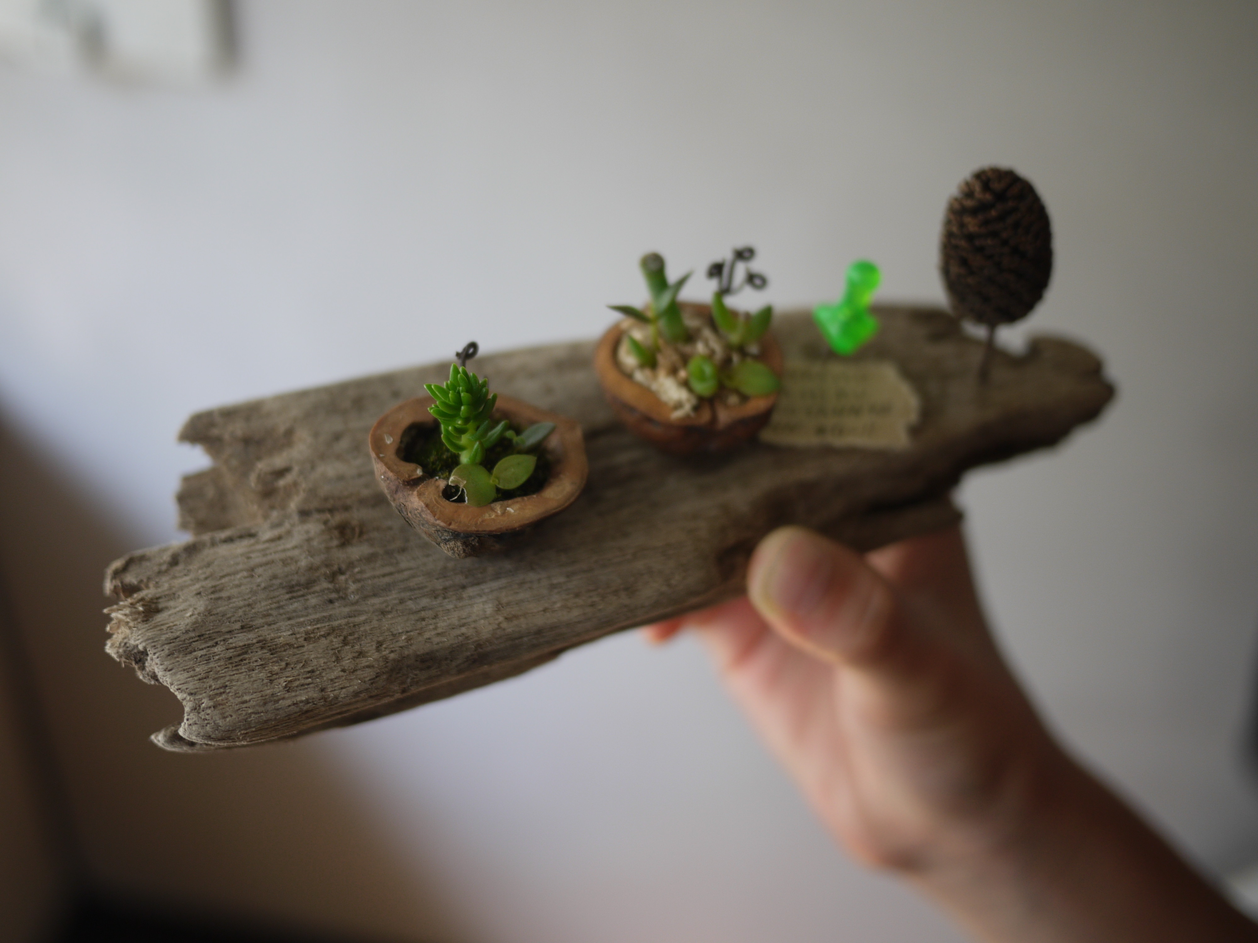 個別 Poetic Art 多肉植物 寄せ植え モカ 詩情 胡桃の殻 ブリキのバケツ の写真 画像 Moca A ハンドメイドの羊毛フェルト雑貨