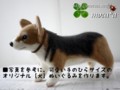 [コーギー犬][犬][ぬいぐるみ][オーダーメイド][制作][モカ]