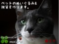 [帽子][ペット][犬][猫][雑貨][オーダーメイド]