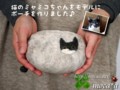 [帽子][ペット][犬][猫][雑貨][オーダーメイド]