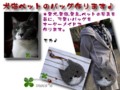 [帽子][ペット][犬][猫][雑貨][オーダーメイド]