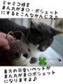 [がま口ポシェット][ポシェット][ペット][犬][猫][雑貨][オーダーメイド]