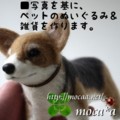 [コーギー犬][犬ぬいぐるみ]