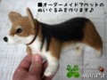 [コーギー犬][犬][ぬいぐるみ][オーダーメイド][制作][モカ][マルチーズ犬][クロパグ犬][制作][モカ]