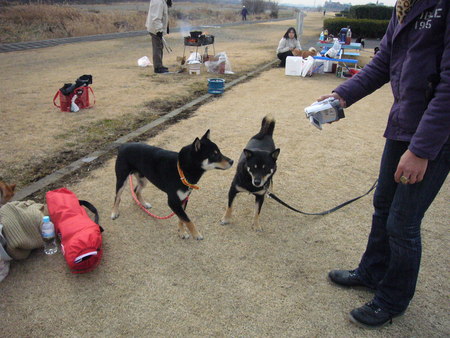 f:id:mocamama:20080120112004j:image