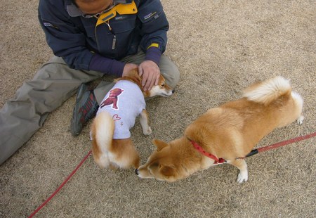 f:id:mocamama:20080120112425j:image