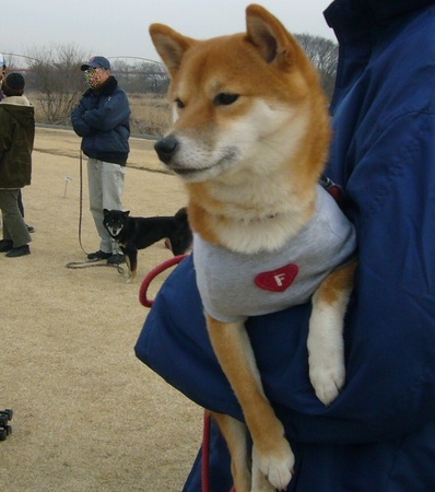 f:id:mocamama:20080120113125j:image