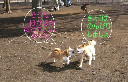 20080211104622