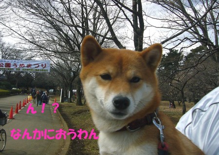 20080217105824