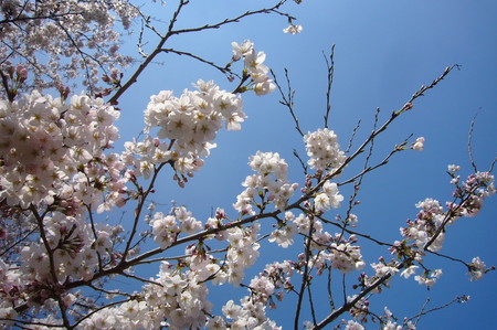 20080327104407