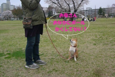 f:id:mocamama:20080330111755j:image