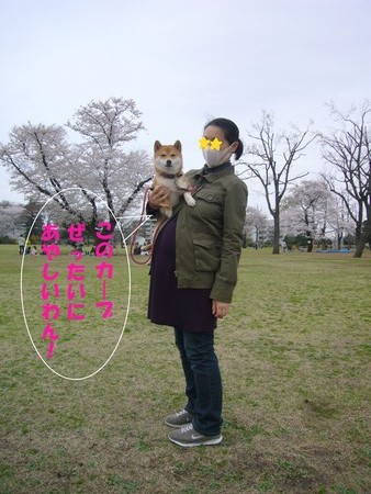 f:id:mocamama:20080330112035j:image