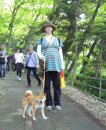 f:id:mocamama:20080504161630j:image