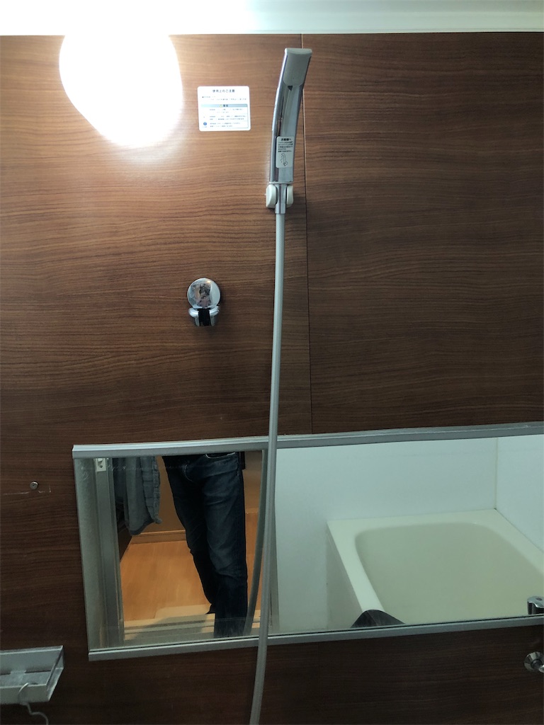 f:id:mocchanple:20190116201533j:image